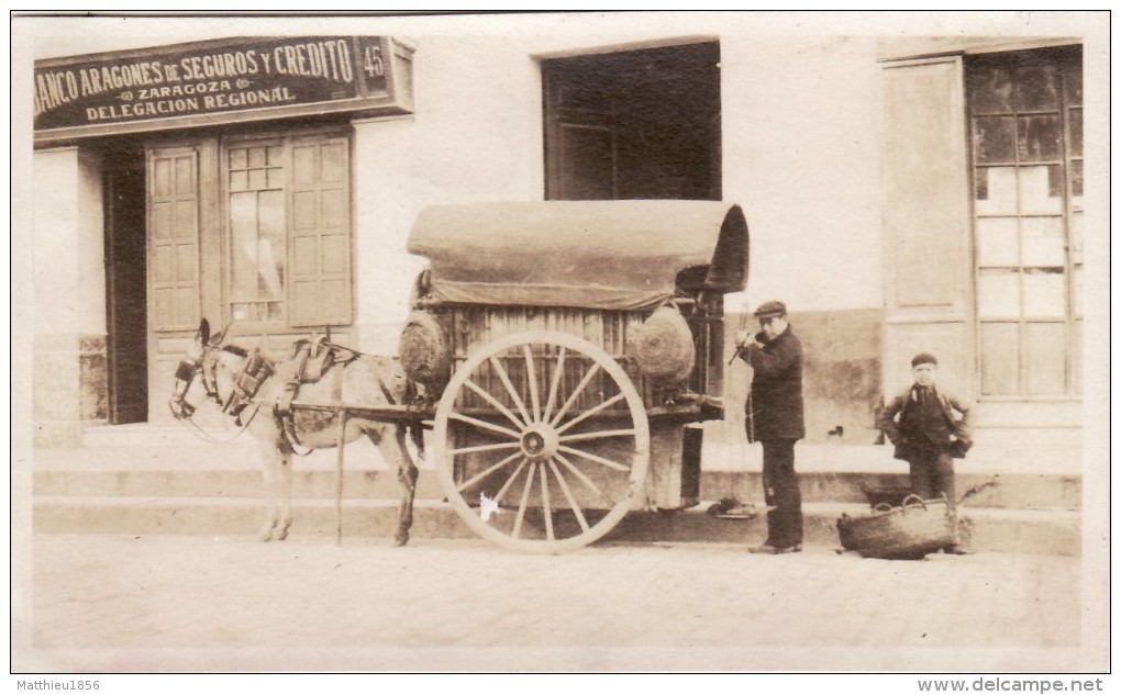 Foto Original Enero 1924 SEVILLA (Séville) - Un Comerciante De Carboncillo, Zaragoza, Delegacion Regional, Burros (A54) - Sevilla