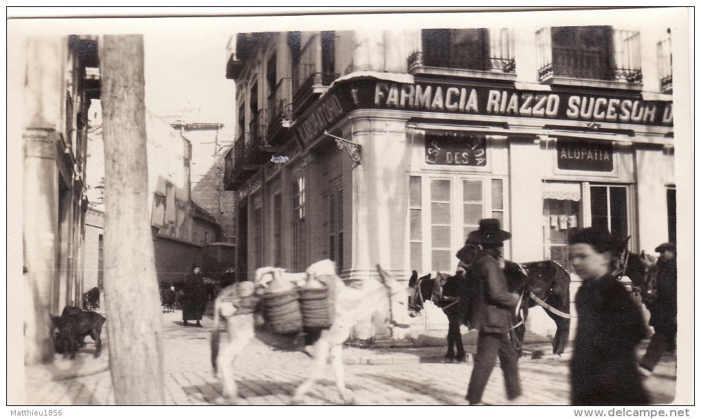 Foto Original Enero 1924 SEVILLA (Séville) - Burros, Aguador, Farmacia (A54) - Sevilla