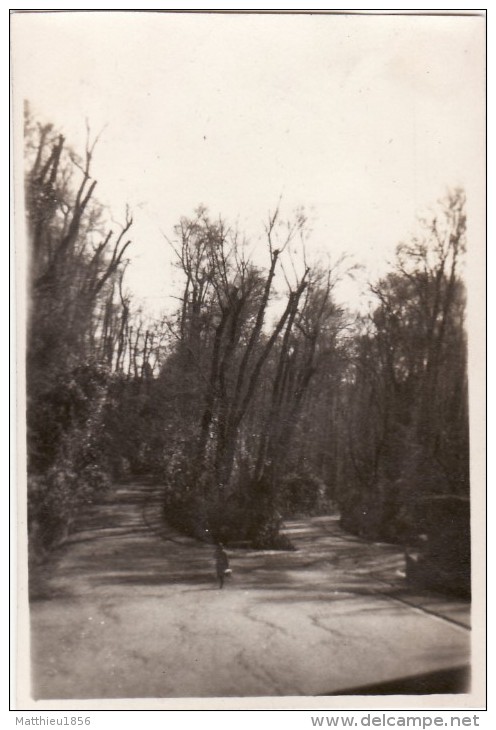 Foto Original Febrero 1924 GRANADA (Grenade) - Ruta De Alhambra (A54) - Granada