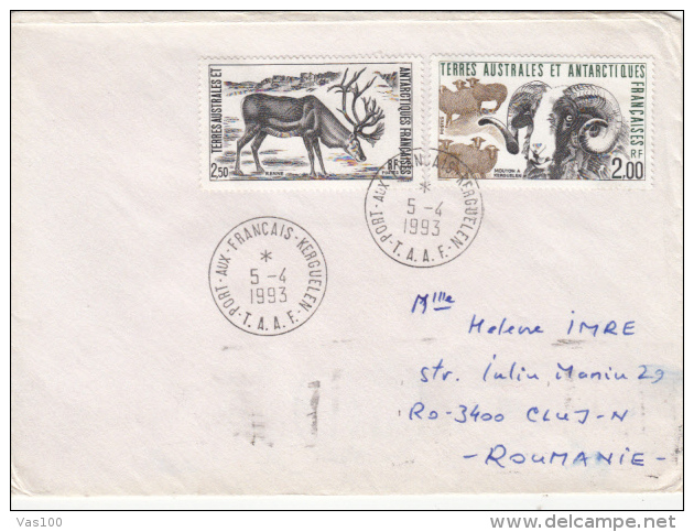 REINDEER, BIZET SHEEP, STAMPS ON COVER,  1993, TAAF - Covers & Documents