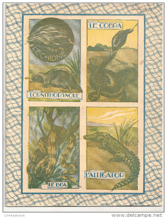 Cahier D´écolier Des Années 1950 L'échidné, L'ornithorynque, Le Cobra, Le Boa, L'alligator - Protège-cahiers
