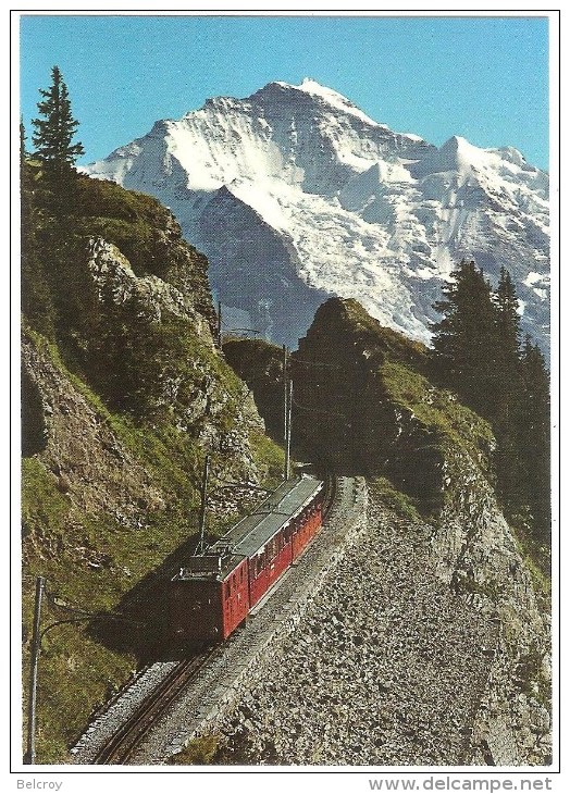 TRAIN Suisse - EISENBAHN Schweiz - BERG JUNGFRAU - Bergbahn Schynige Platte - Autorail, Tramway - Trains