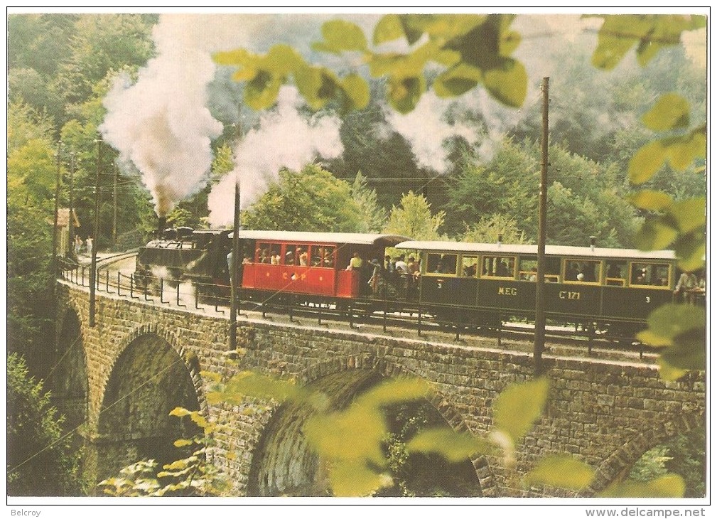 TRAIN Suisse - EISENBAHN Schweiz - BLONAY-CHAMBY - Viaduc De La Baye De Clarens - Locomotive G 2 X 2/2 105 - Trains