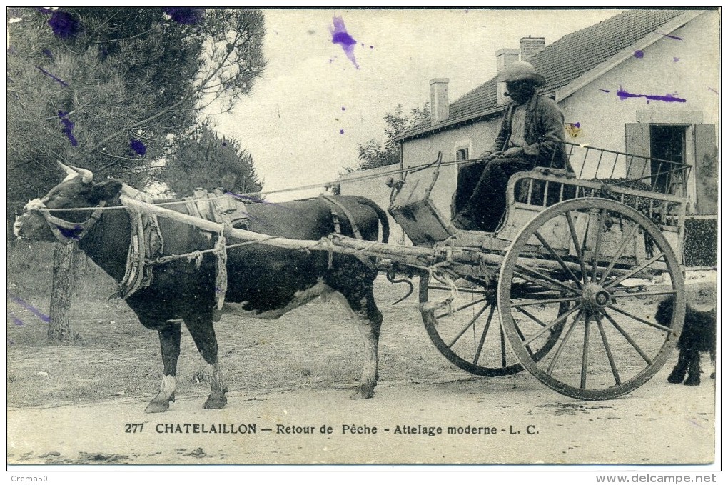 17 - CHATELAILLON - Retour De La Pêche - Attelage Moderne, Boeuf - Autres & Non Classés