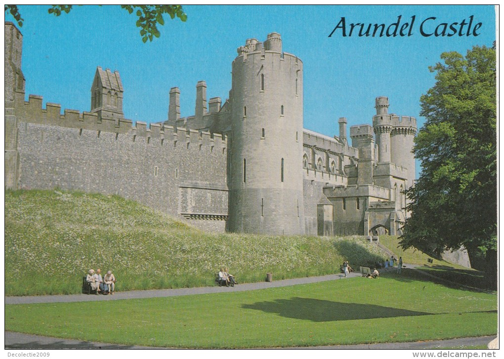 BF561 The Walls Arundel Castle   2 Scans - Arundel