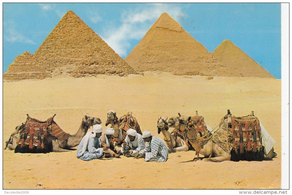 BF1561 Giza Rest Near The Pyramids    2 Scans - Gizeh