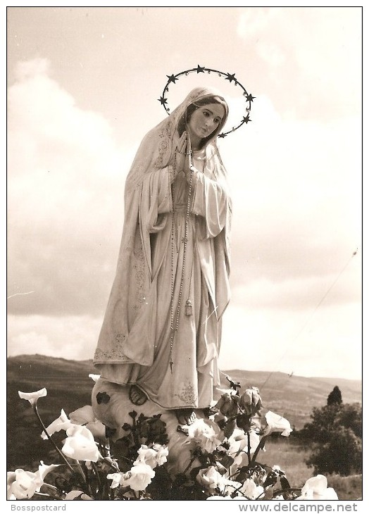 Celorico Da Beira - Nossa Senhora Da Imaculada Conceição - Guarda