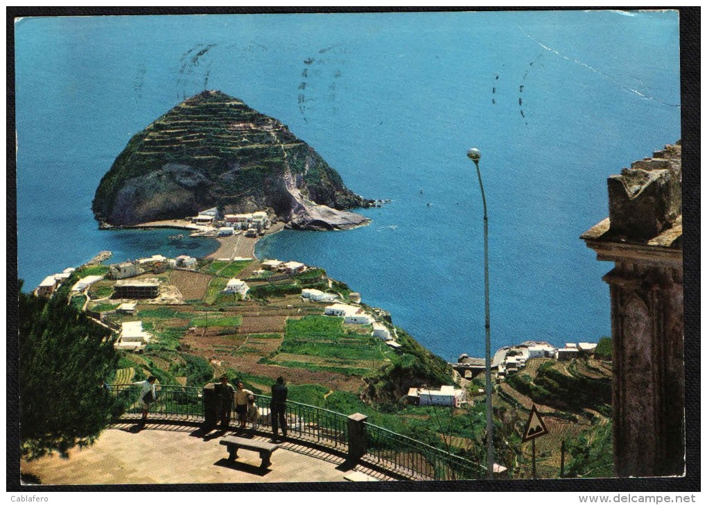 ISCHIA - S. ANGELO VISTO DAL BELVEDERE DI SERRARA - Altri & Non Classificati