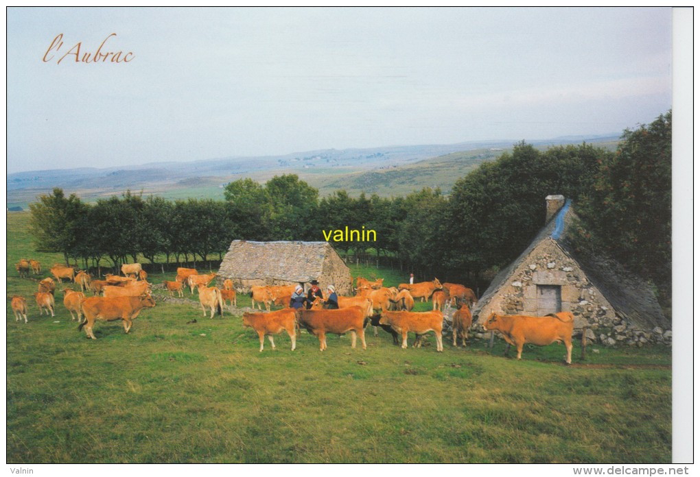 Buron Traditionnel Sur Les Monts D Aubrac - Aumont Aubrac