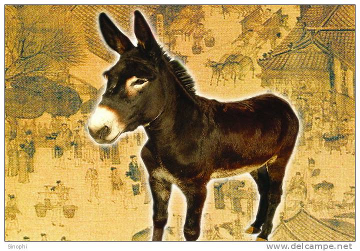 SA07-017  @     Anes Esel  Donkey Burros Y Asnos ,    ( Postal Stationery , Articles Postaux ,  Postsache F ) - Anes