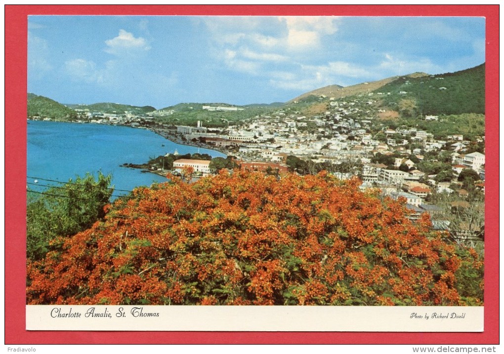 Virgin Islands - St Thomas - Harbor Of Charlotte Amalie - Virgin Islands, US