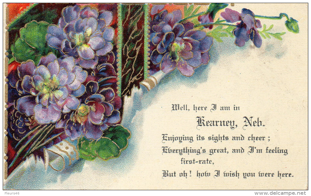 Illustrée Dorée Et Gaufrée : Souvenir De KEARNEY NEBRASKA . 1909 - Kearney