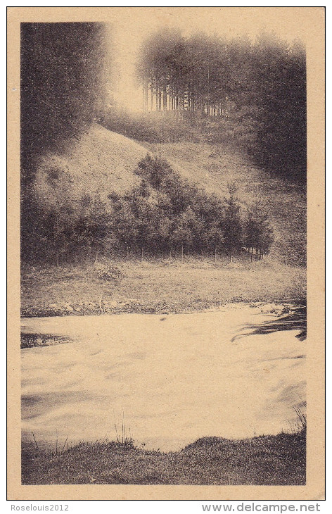 WEVERCE / WEYWERTZ : Paysage - Butgenbach - Bütgenbach