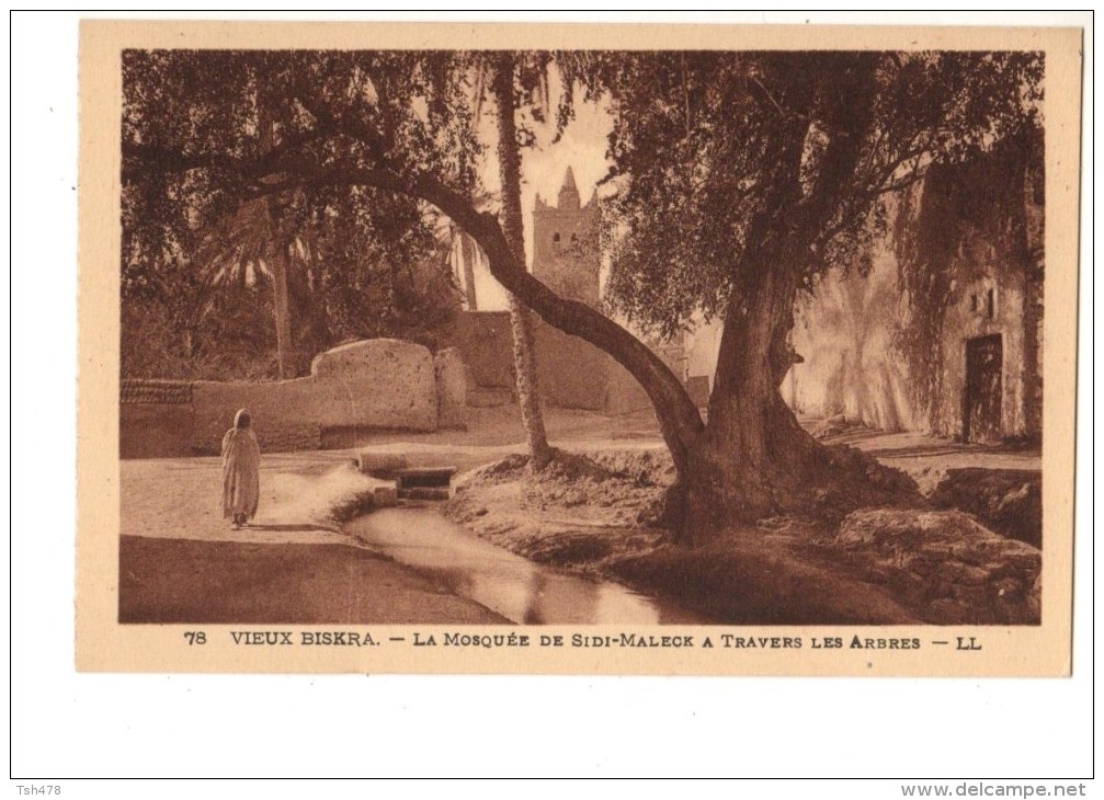 ALGERIE----VIEUX BISKRA---La Mosquée De Sidi-Maleck A Travers Les Arbres---voir 2 Scans - Biskra