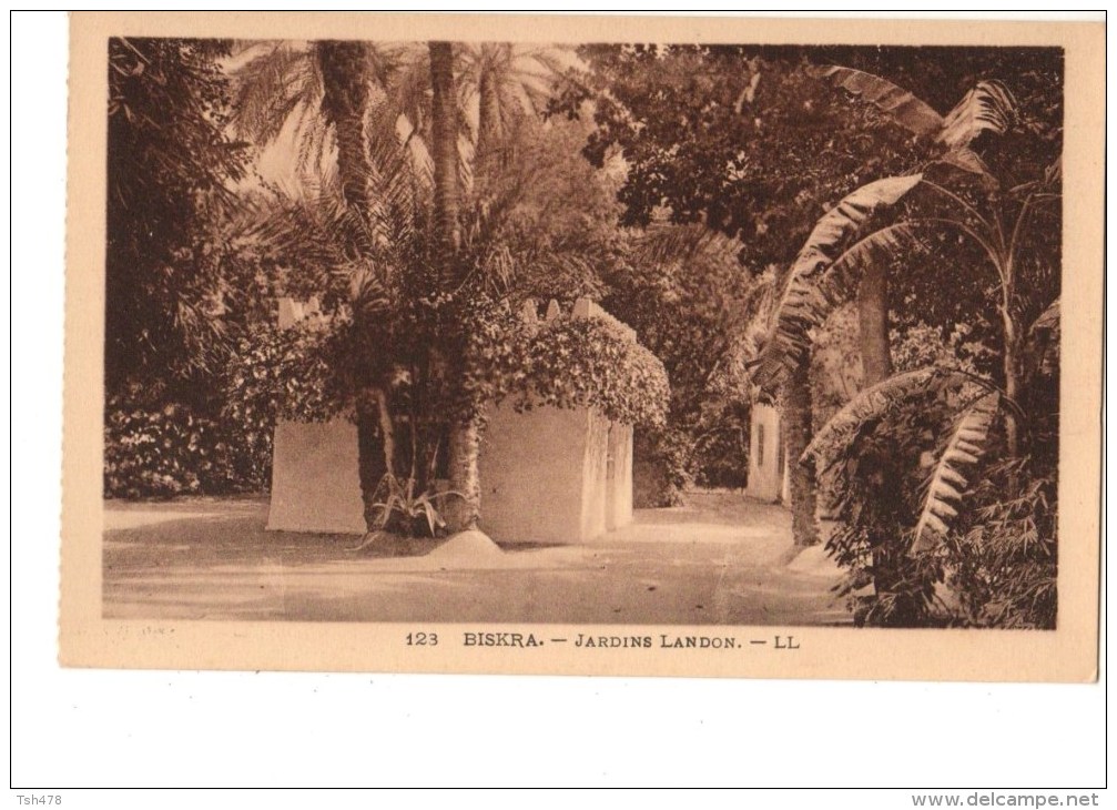 ALGERIE-- BISKRA---jardin Landon --voir 2 Scans - Biskra