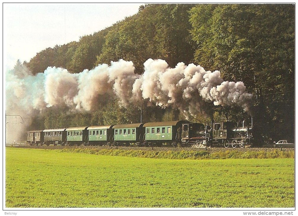 TRAIN Suisse - EISENBAHN Schweiz - LAUPEN - Locomotive à Vapeur E 3/3 N° 1+11 - Après L'arrêt De Saanebrücke - Trains