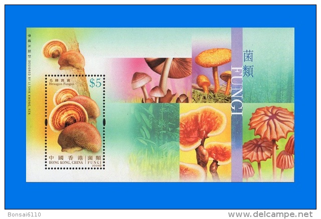 HK 2004-0001, Fungi, MNH MS - Neufs