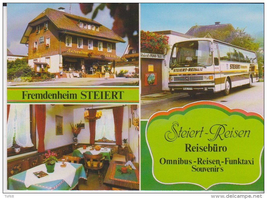 Hinterzarten Fremdenheim Reisebüro Gästehaus Steiert - Hinterzarten