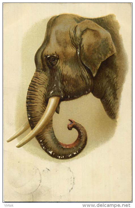 Olifant - Elephant  (  Carte Reliëf  Written In 1908 With Stamp ) - Éléphants