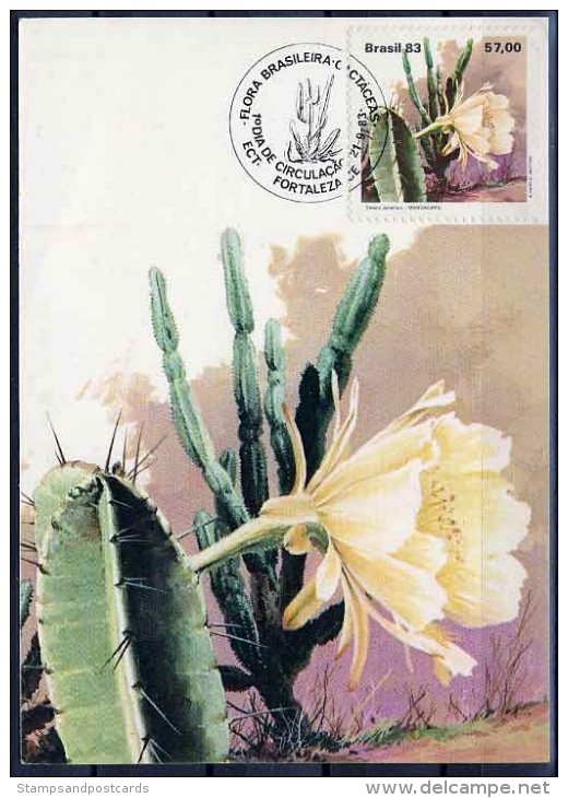 Brèsil Cactus Cereus Jamaracu Carte Maximum 1983 Brasil Brazil Cactus Maxicard - Sukkulenten