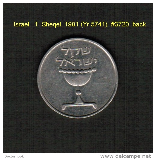 ISRAEL    1  SHEQEL  1981 (YR 5741)  (KM # 111) - Israel