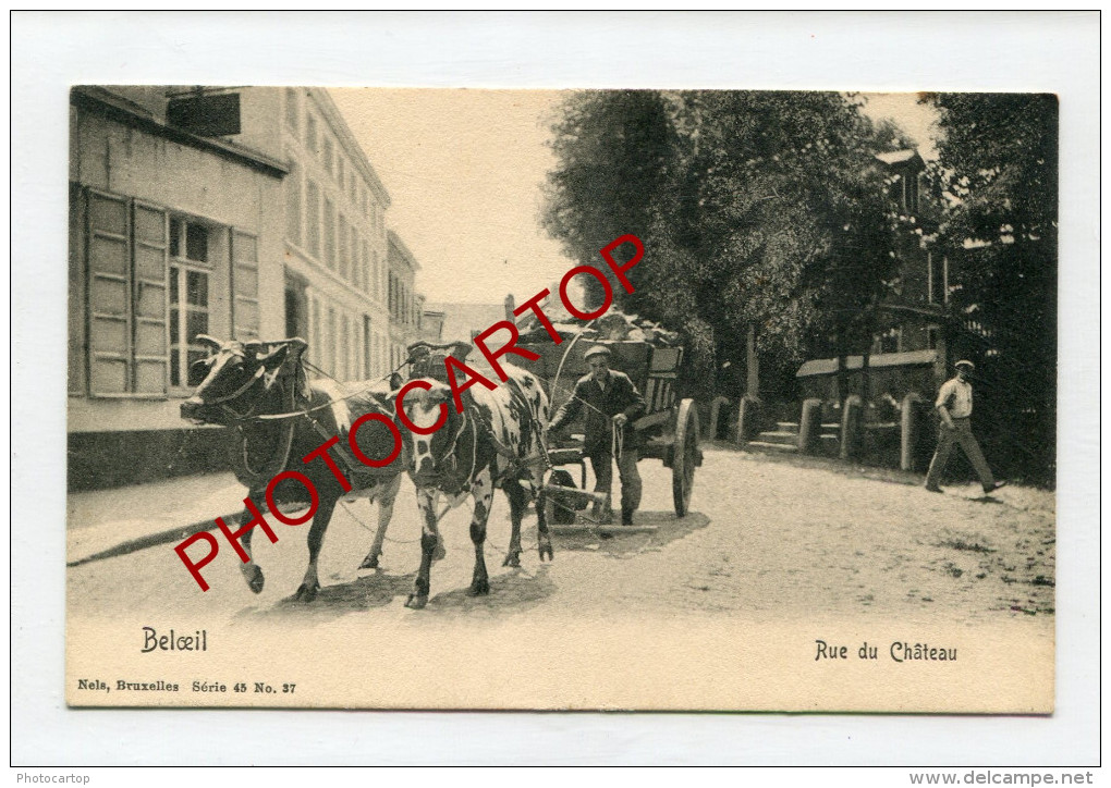 BELOEIL-Attelage De BOEUFS-Tombereau-Rue Du Chateau-CP NELS Avant 1904-Animation-BELGIQUE-BELGIEN- - Ath