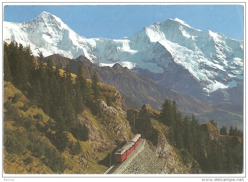 TRAIN Suisse - EISENBAHN Schweiz - SCHYNIGE PLATTE - Schynige-platte-Bahn Mit Mönch Und Jungfrau - Autorail Tramway Berg - Trains