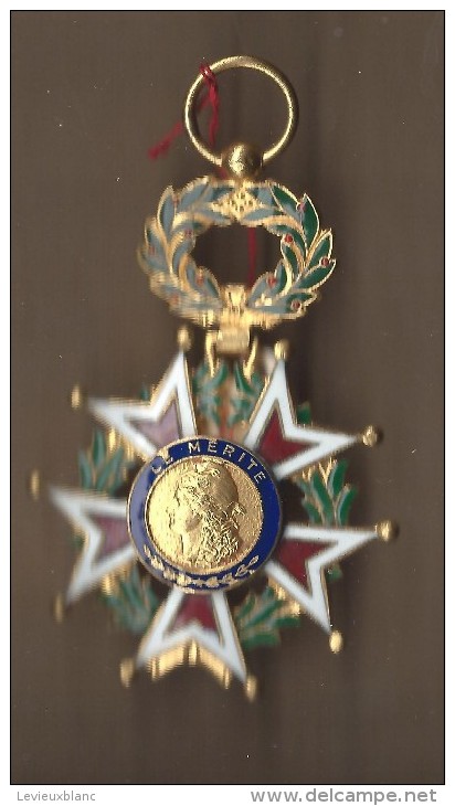 Médaille/  Le Mérite  / Sans Ruban/  Vers 1950-1960 ?        D389 - Frankreich