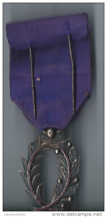 Palmes Académiques / Officier / Vers 1900-1920      D391 - Francia