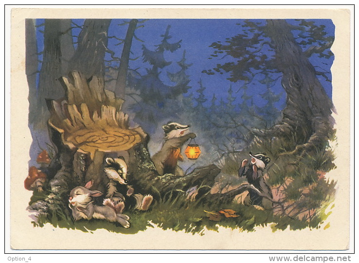 USSR Russia Stationery Card 1962 Mushrooms Bunny Badger Forest Pilze Hase Dachs Wald °PK0099 MNH - Pilze