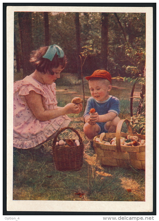 USSR Russia Stationery Card 1957 Mushrooms Picker Forest Child Pilze Wald Kinder Ganzsache °PK0107 MNH - Pilze