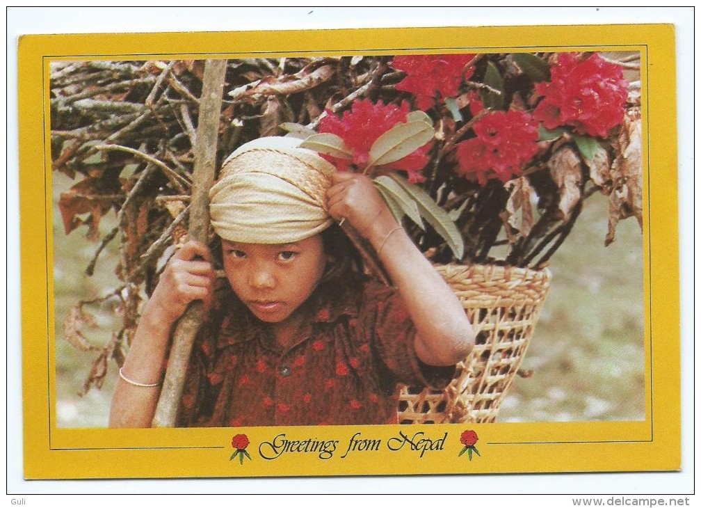 Asie > Népal GREETINGS From NEPAL  NAMASTE  Thakali Girl Carrying Rhodedendrons (Rhododendron Enfant Petite Fille) - Népal