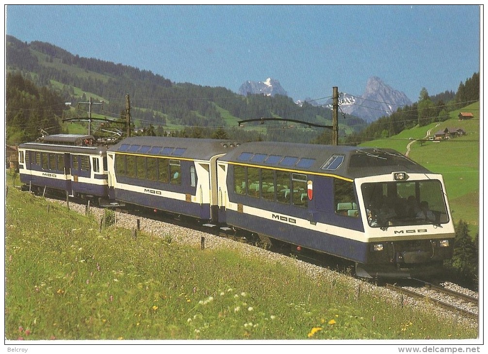 TRAIN Suisse - EISENBAHN Schweiz - ZWEISIMMEN - Train SUPERPANORAMIC EXPRESS - Autorail, Tramway - Foto E. Zbären - Trains