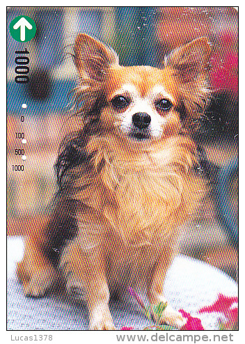 JAPON / TITRE DE TRANSPORT TOKYO / - Perros