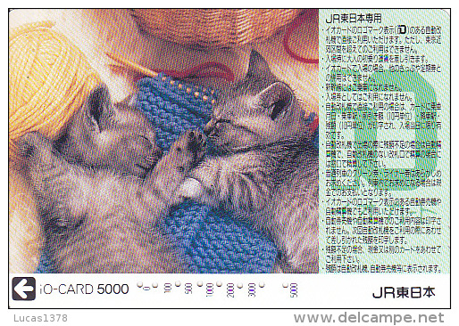 JAPON / TITRE DE TRANSPORT TOKYO / - Gatos