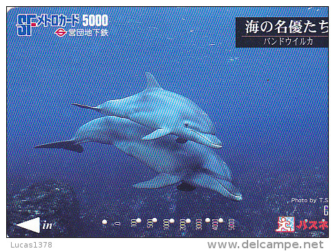 JAPON / TITRE DE TRANSPORT TOKYO / - Delfines