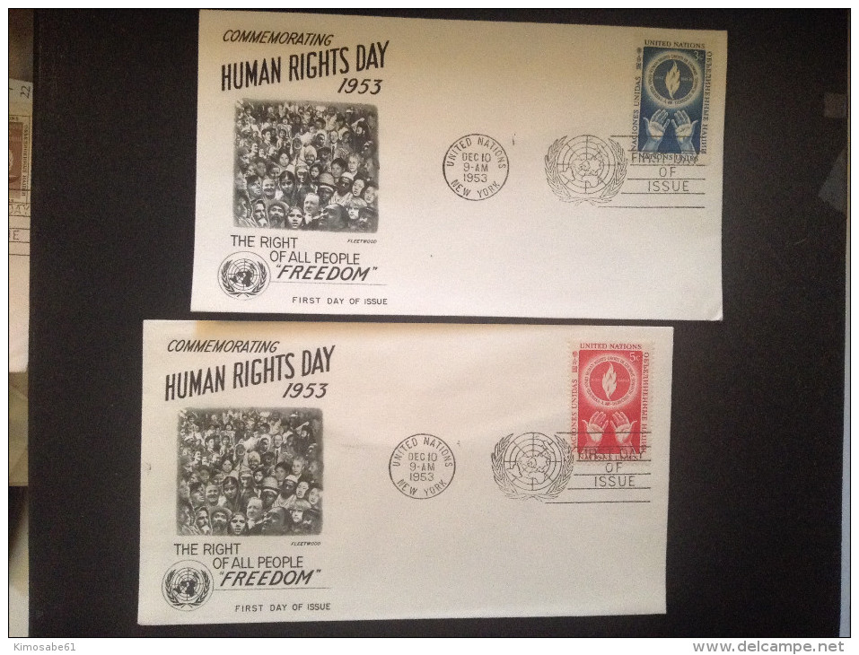 UN-NY, 1953 FDCs (x2) - Commemorating Human Rights Day 1953 First Day Issue - FDC