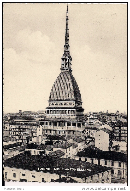 TORINO  Fg - Mole Antonelliana