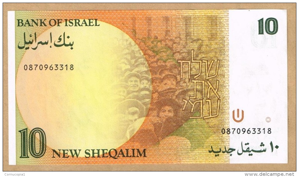 10 ISRAEL NEW SHEKEL SHEQALIM 1992 P-53c UNC NOTE - Israel