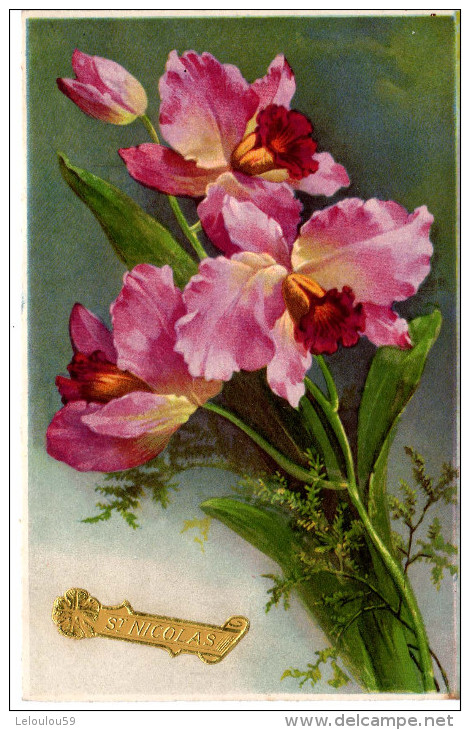 222-CARTE Fantaisie Saint Nicolas Fleur Iris - Autres & Non Classés