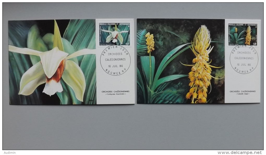 Neukaledonien 784/5 Maximumkarte MK/MC, ESST, Orchideen, Coelogynae Licastioides, Calanthe Langei - Maximum Cards