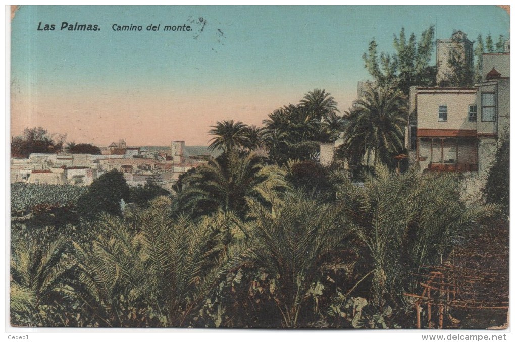 LAS PALMAS  CAMINO DEL MONTE   En 1912 - La Palma