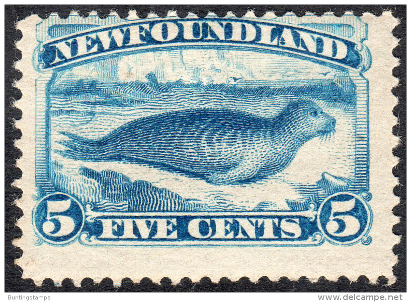 Newfoundland   1894   SG59a  5c Bright Blue  OG - 1865-1902