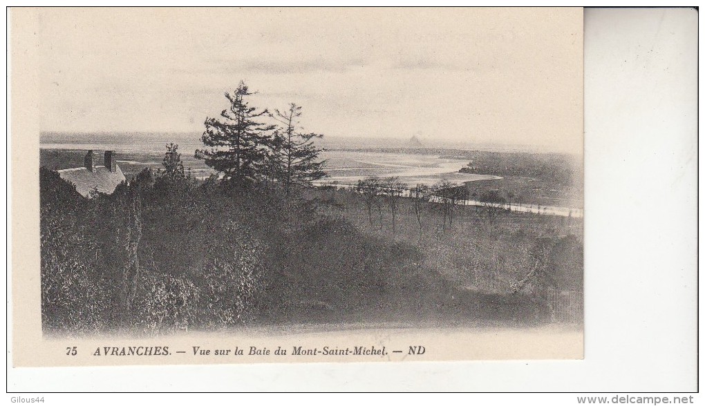 Avranche Vue Sur La Baie - Avranches