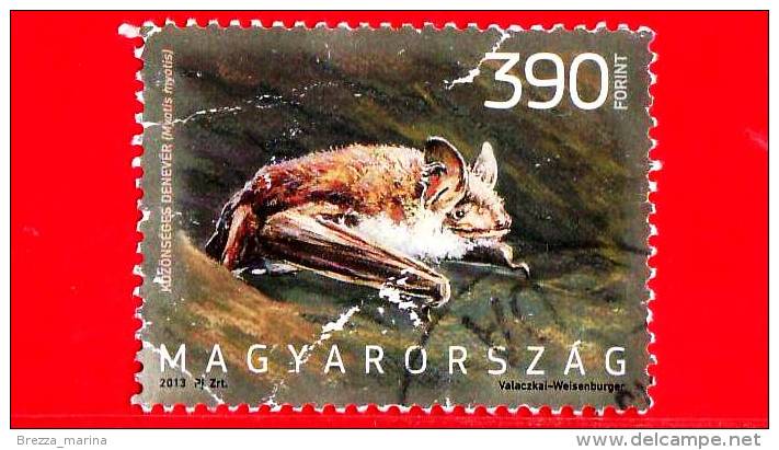 UNGHERIA - Magyar - 2013 - Usato - Fauna - Animali D´Ungheria - Animals - Pipistello  - 390 Ft - Used Stamps