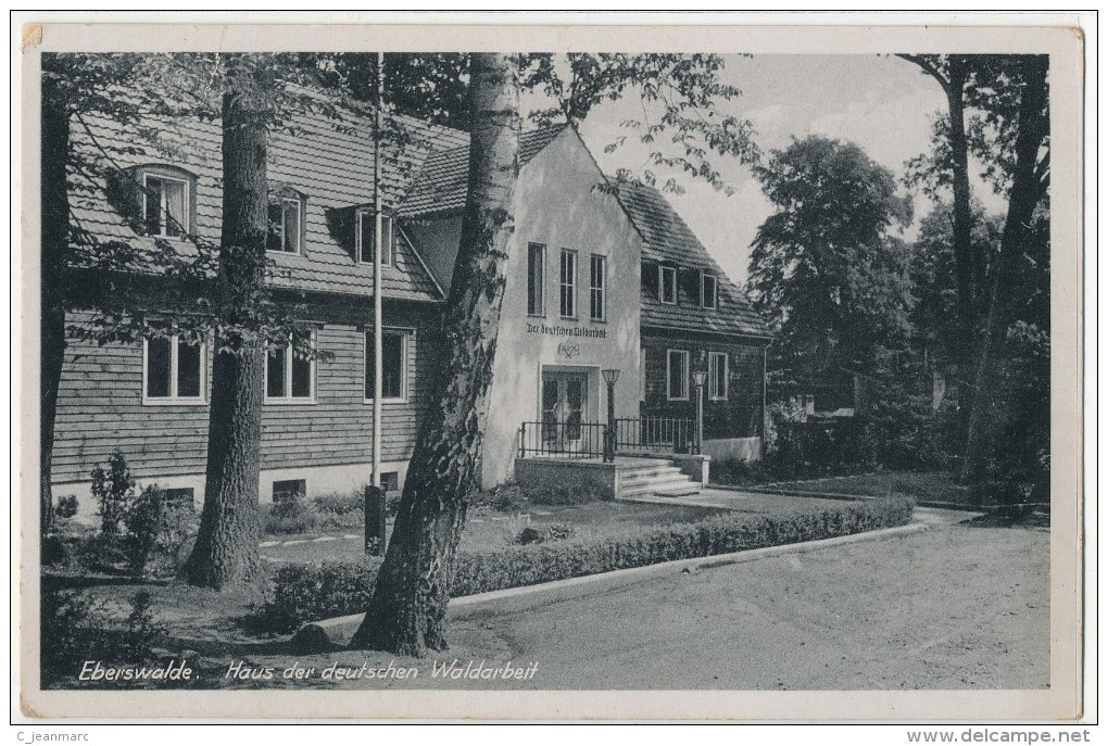 ALLEMAGNE EBERSWALDE WALDSTATT HAUS DES DEUTSCHEN WALDARBEIT STEMPFEL  VOYAGEE  1943  Etat Voir 2 Scans - Eberswalde