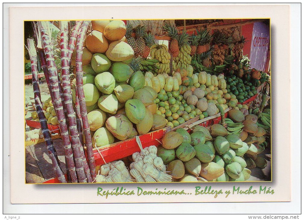 REF EY1 : CPM Carte Postale Grand Format République Dominicaine Republica Dominicana Marchand De Fruits - Dominicaine (République)