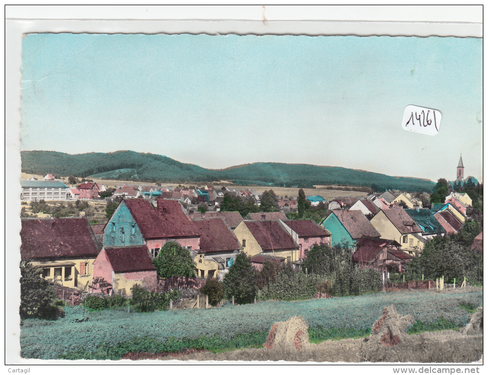 CPM GF - 14261-Allemagne - Niederwurzbach - Vue Générale-Envoi Gratuit - Saarpfalz-Kreis