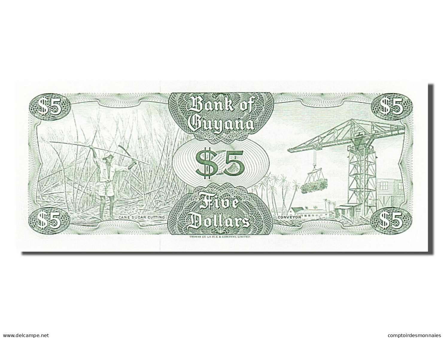 Billet, Guyana, 5 Dollars, 1966, NEUF - Guyana