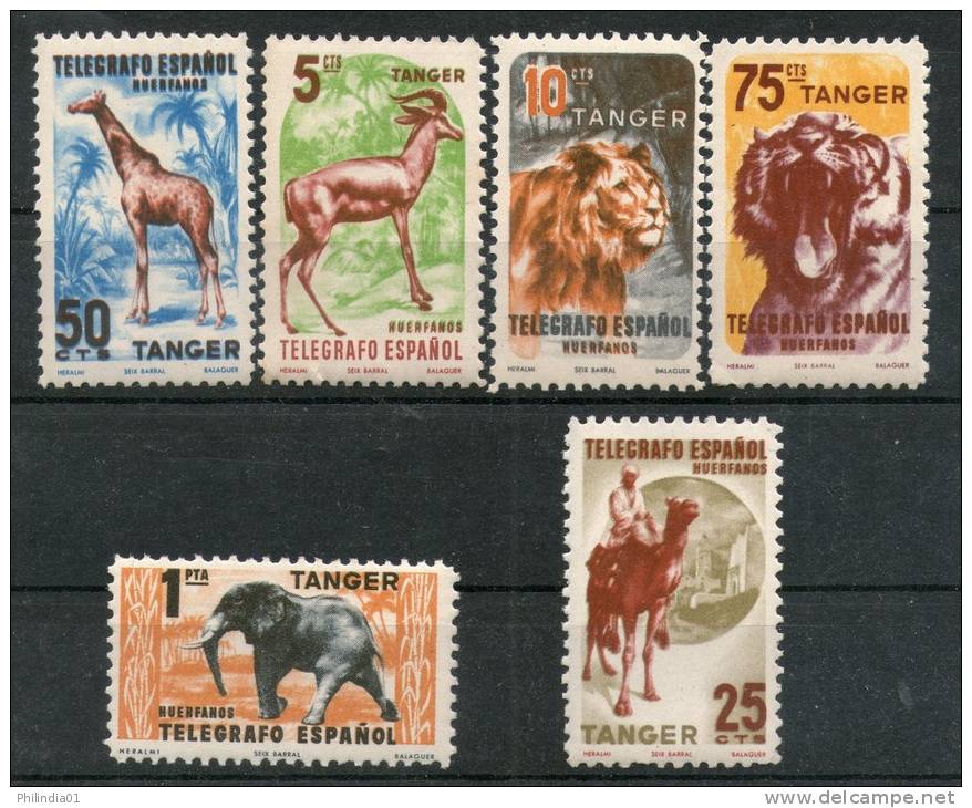 Spain Espana 6 Diff Lion Tiger Giraff Elephant Antelope Wild Life Animal Telegraph Tanger Telegrafo Fiscal MNH # 3038 - Télégraphe